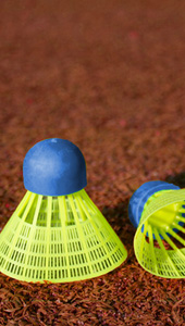 Speed-Badminton